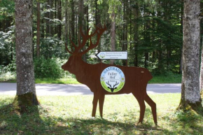 Gasthaus Faller Hof am Sylvensteinsee Bed & Breakfast